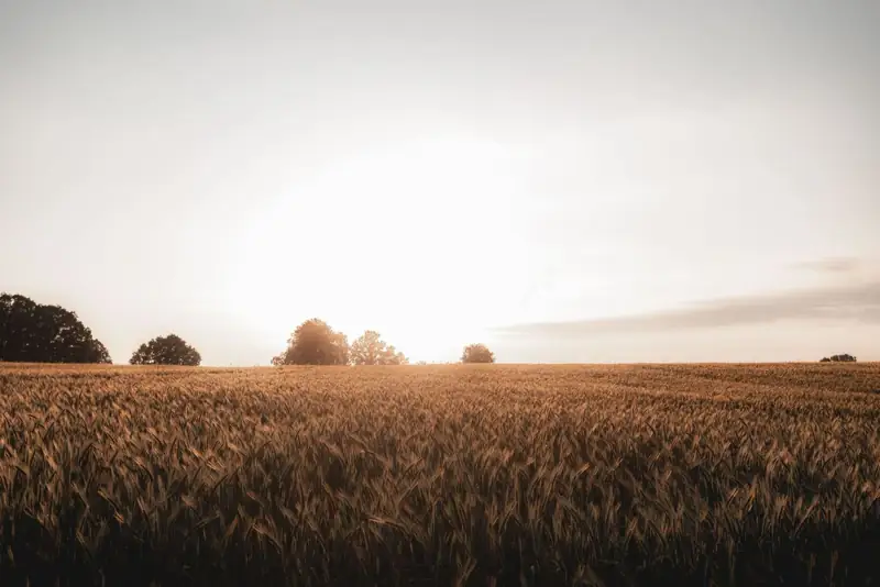 Wheatland County land near Calgary